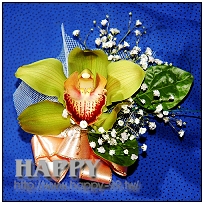綠色虎頭蘭胸花